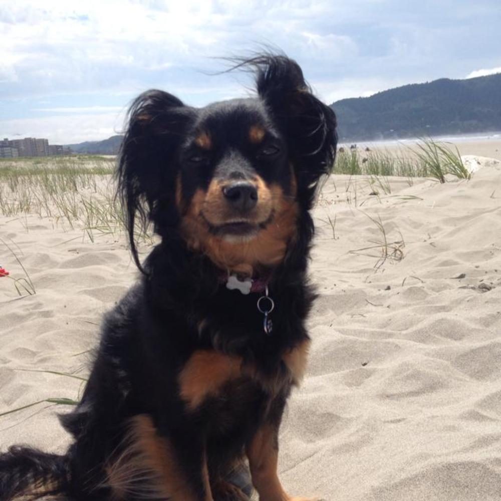 Meet your Posher, Monica